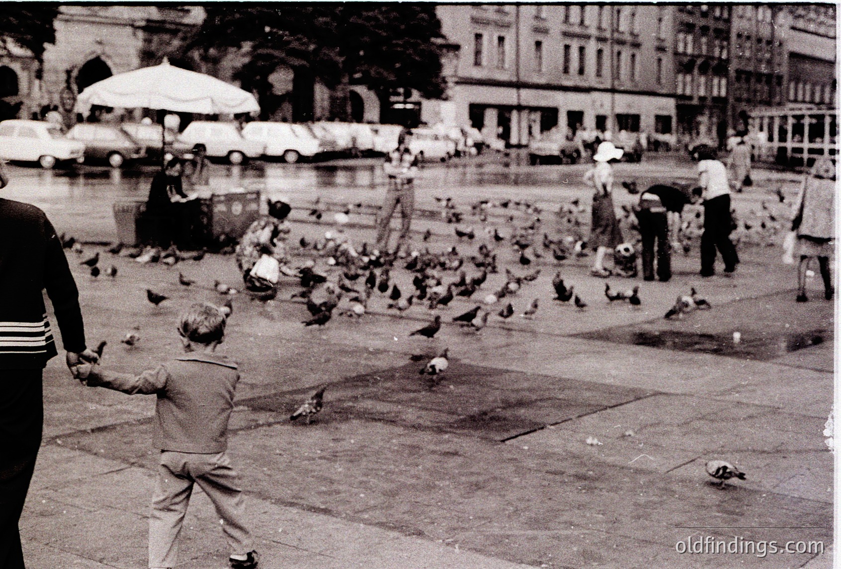 A young boy feeds pigeons in a mid-20th century European city square, surrounded by urban architecture and pedestrians. Classic cars and outdoor seating suggest a bustling public space, likely from the 1950s–1960s.