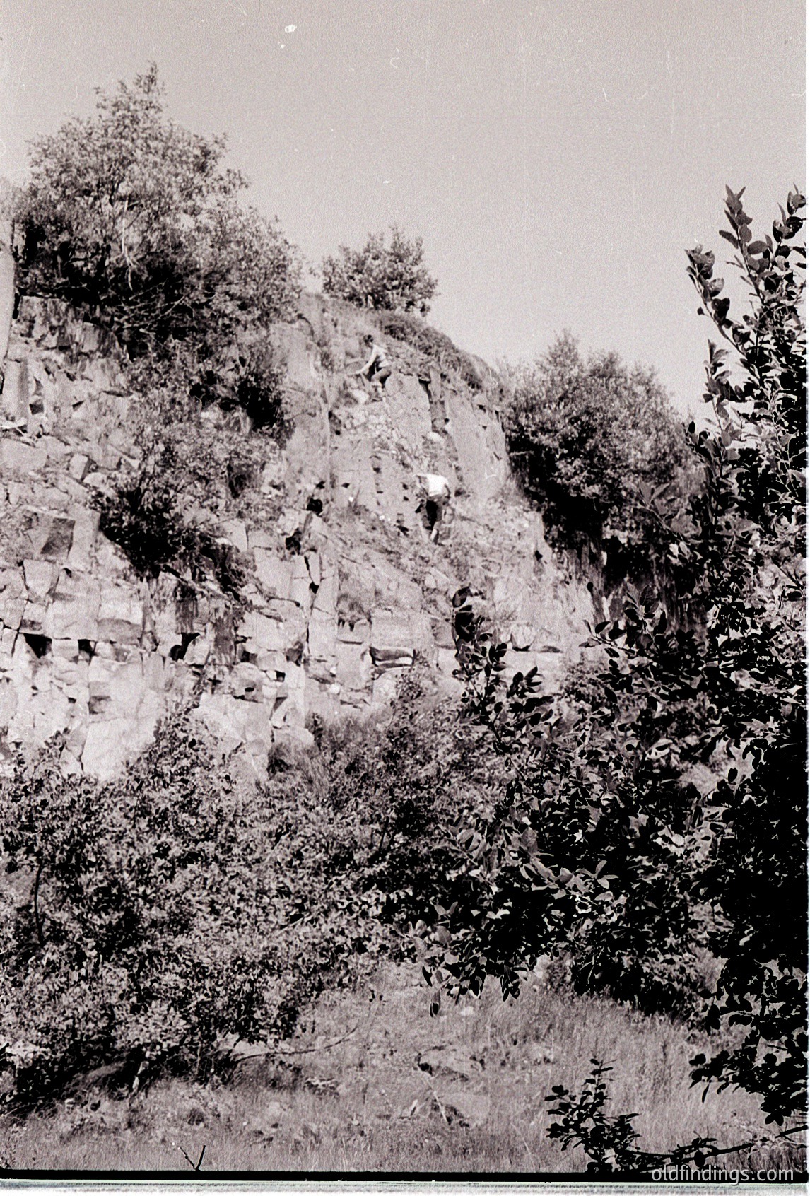 Vintage black-and-white shot of rugged limestone cliffs with dense foliage at base, likely Mediterranean or Balkan region. Vertical framing emphasizes sheer rock faces and overgrown vegetation.