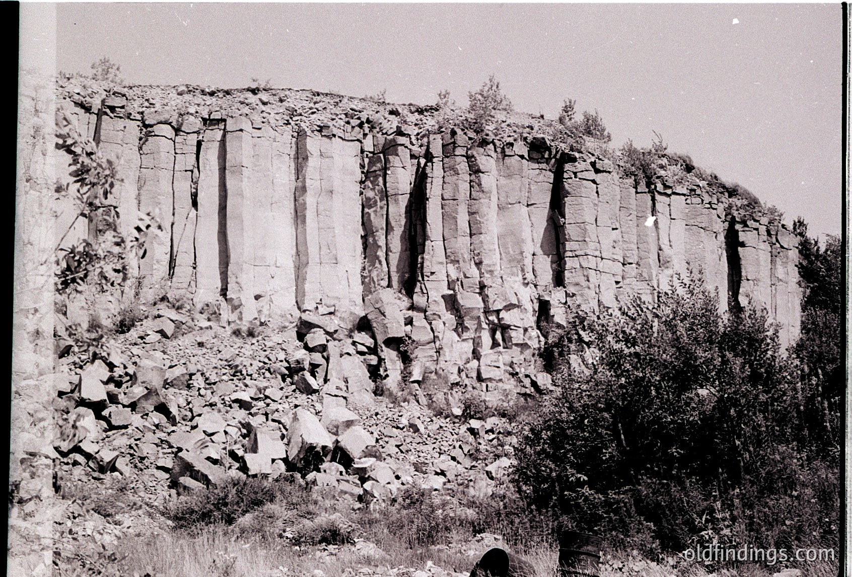 Vertical rock strata with distinct sedimentary layers and erosion patterns, likely limestone or sandstone. Vegetation at base and along edges contrasts with rugged cliff face. Black-and-white vintage aesthetic suggests early-to-mid 20th century. Ideal for geological studies or nature-themed design.