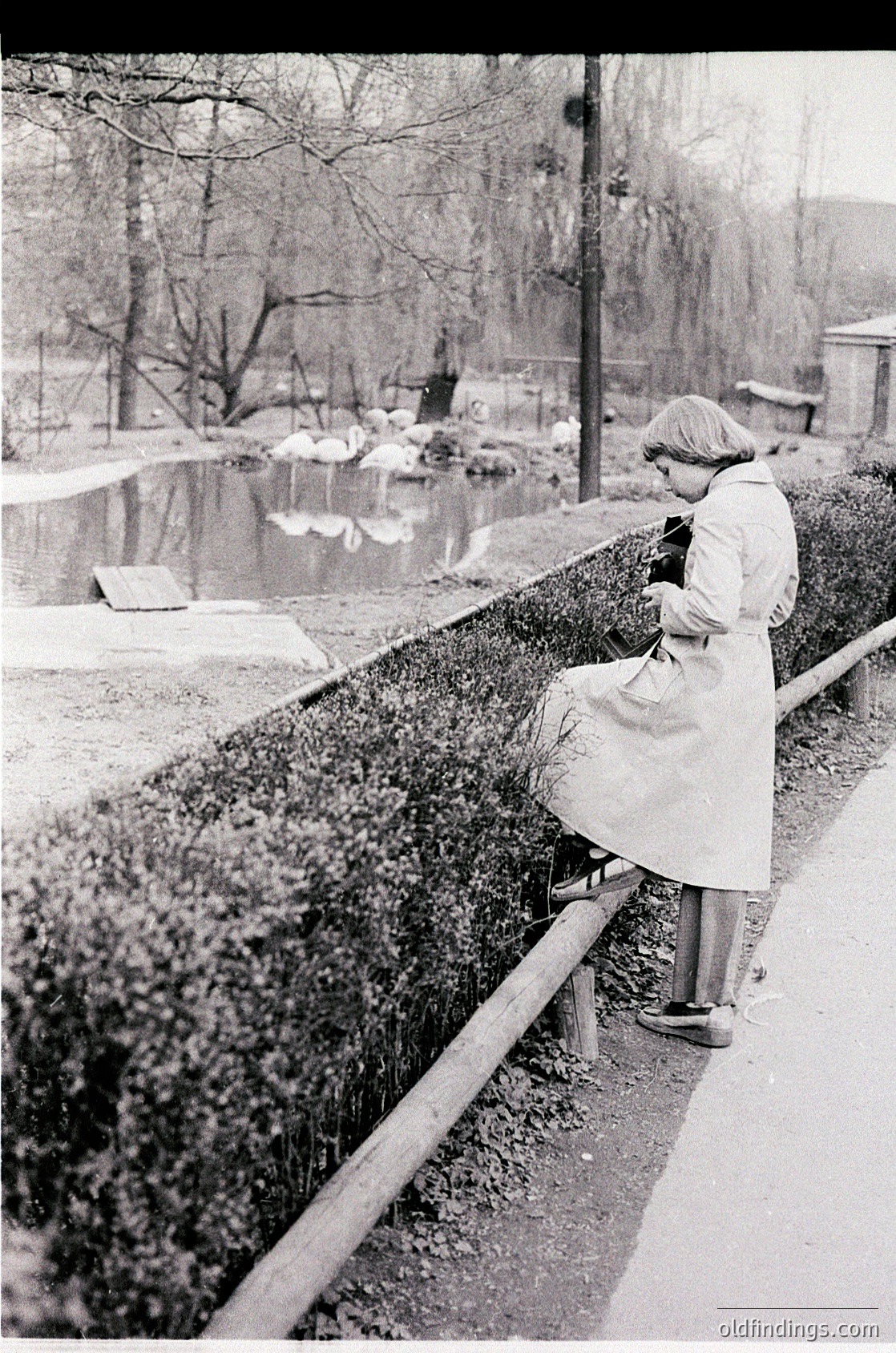 A woman in 1950s-era coat and hat sits alone on a low wooden fence beside a pond, gazing into the water. Surrounding her are leafless trees and a neatly trimmed hedge. Urban park setting with paved pathway and stone steps.