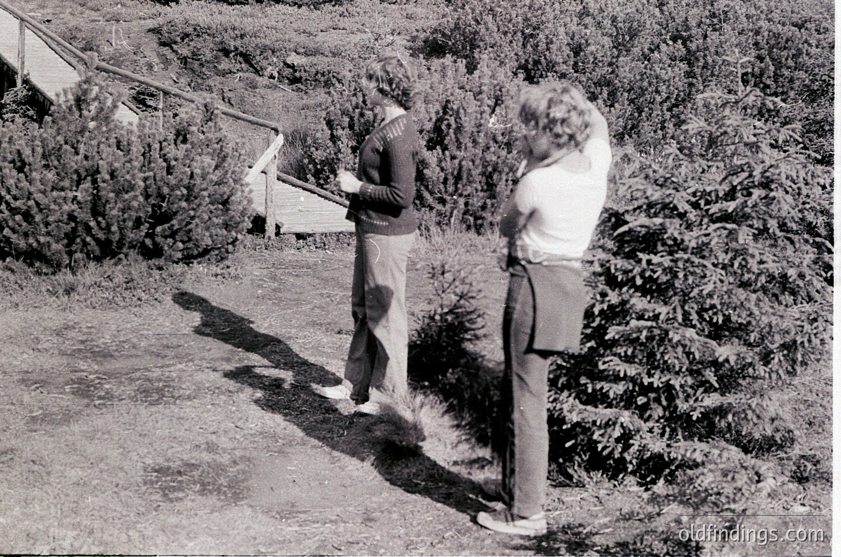 Two individuals in 1970s-era casual attire—wide-leg trousers and layered sweaters—stand on a sunlit gravel path surrounded by dense shrubbery. One holds a camera, capturing the scene. Wooden steps and a small wooden structure suggest a rural or suburban setting, likely Western Europe or North America.