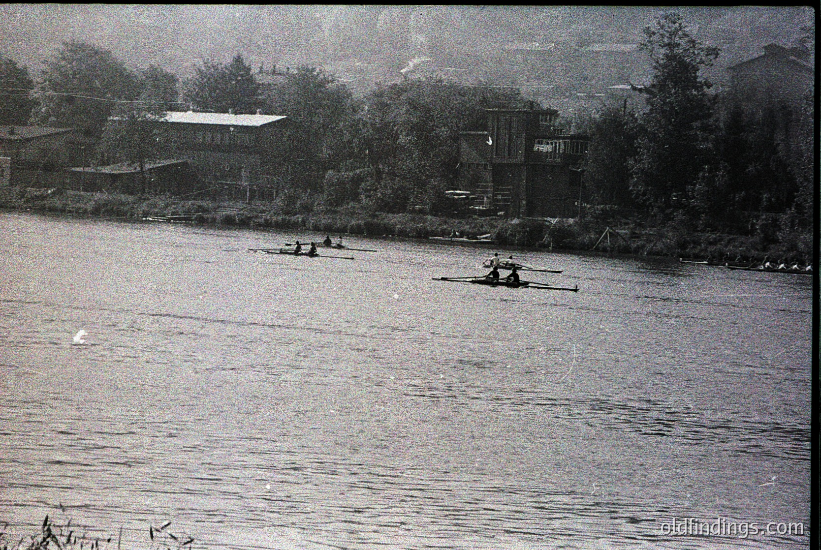 Black-and-white shot of rowers in open sculls on a calm river, framed by dense foliage and rustic wooden structures. Mid-20th century recreational scene, likely European alpine region.