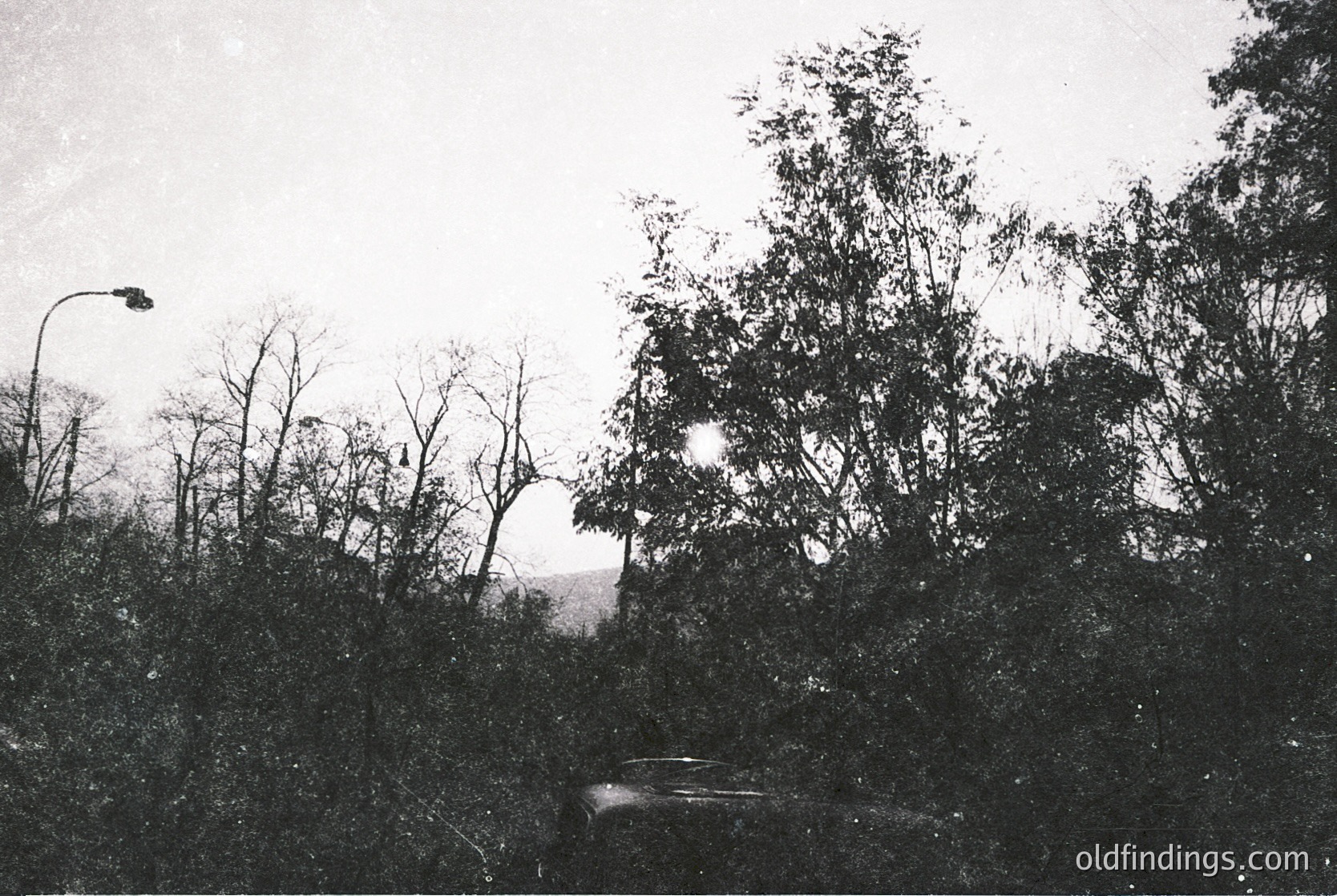 Vintage black-and-white street scene with dense foliage framing a lone car on a road. Streetlamp and distant horizon suggest urban edge. Likely mid-20th century () in a Western European city (, ).