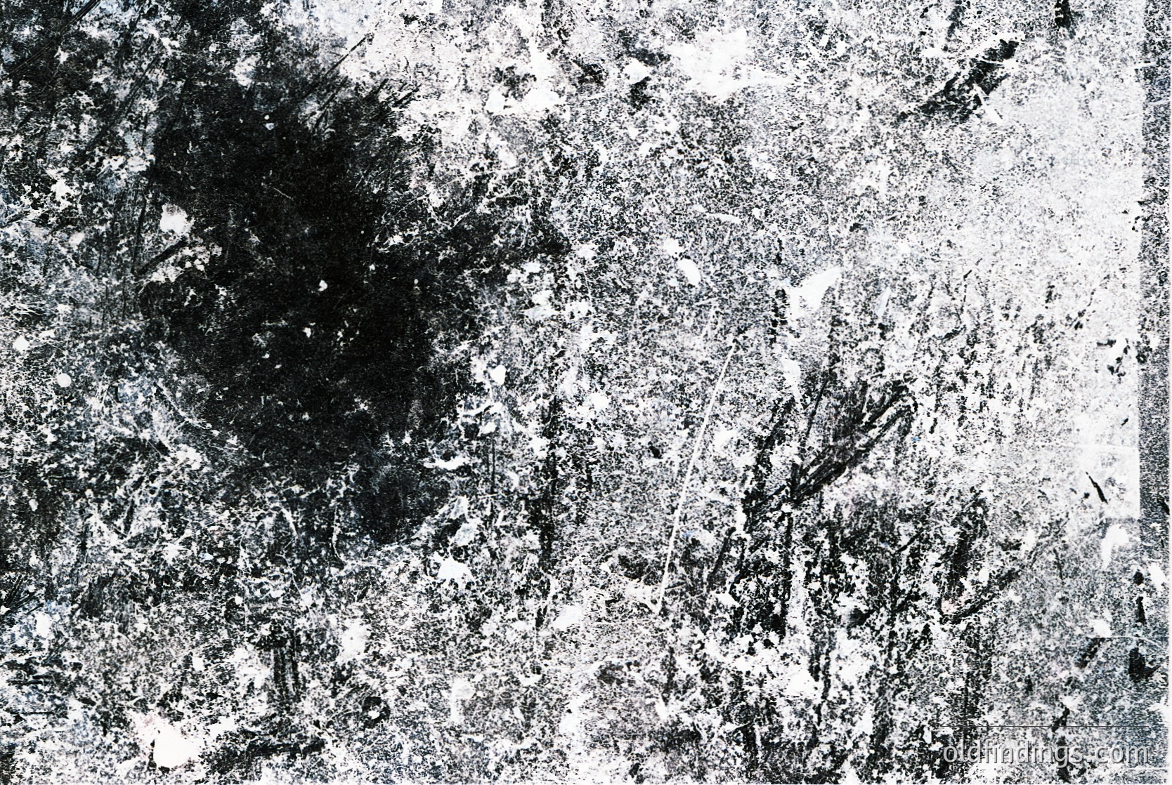 Vintage high-contrast aerial photograph of a densely forested area, likely captured via early 20th-century aviation. Dark patches suggest clusters of trees, with visible road or trail winding through. Texture reveals grainy, monochrome film quality.