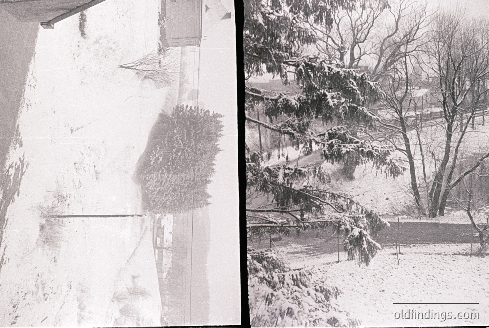 Vintage black-and-white split image: left side shows a snow-covered urban wall with faint graffiti or shadowed text; right side captures leafless trees and snow-laden branches in a residential area. Likely mid-20th century winter scene ( )