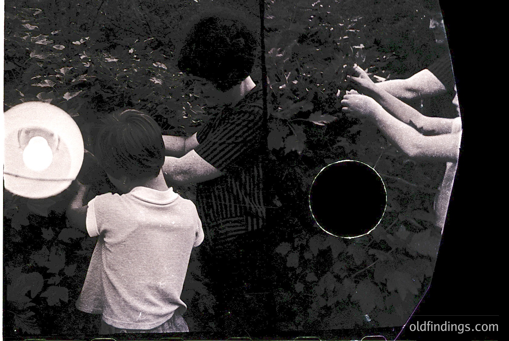 Vintage split-image photo showing two children interacting with nature through a glass surface, likely a greenhouse or conservatory. Left: child in short-sleeved shirt reaches toward foliage. Right: hands (possibly adult) guide another child’s touch. Mid-century design with circular ventilation hole.