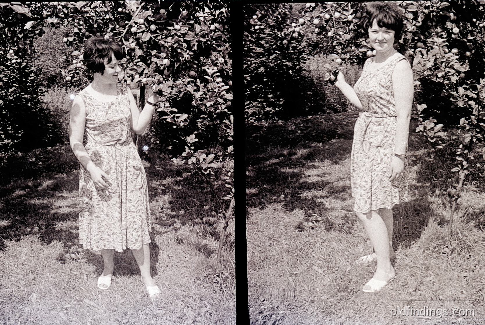 Two women in 1950s-style floral dresses pose outdoors on a grassy path. Left: short-sleeved dress with geometric patterns, holding a small object. Right: knee-length dress with floral motifs, posing with a relaxed hand gesture. Lush greenery and blurred background suggest a park or garden setting.