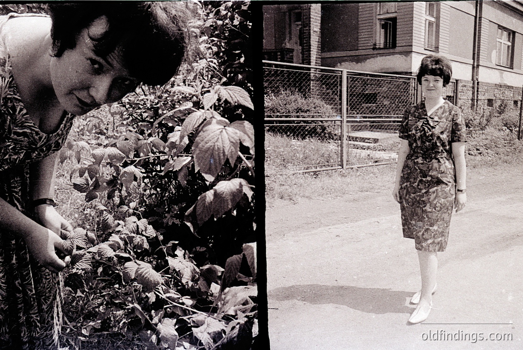 Black-and-white diptych capturing mid-20th century (1960s-70s) lifestyle. Left: Woman in floral dress tends to lush garden foliage, suggesting domestic gardening. Right: Same woman poses in fitted dress with belted waist, standing on paved path near chain-link fence and residential building. Urban/suburban setting likely in Western Europe or North America.