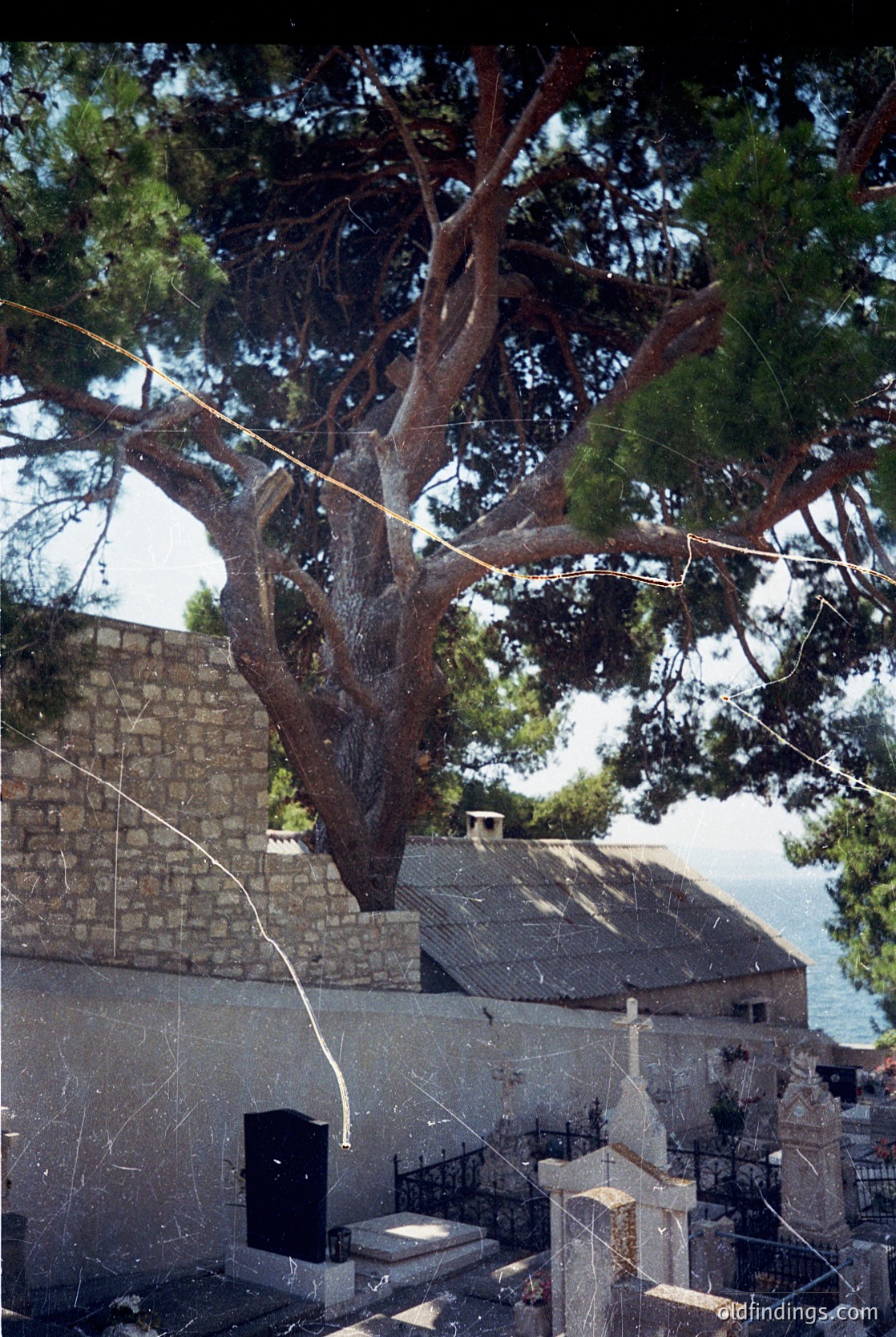 Seaside cemetery with aged stone tombs and weathered pine tree framing a coastal view. Stone walls and gravestones suggest historical European burial site. Overhead wires hint at modern infrastructure.