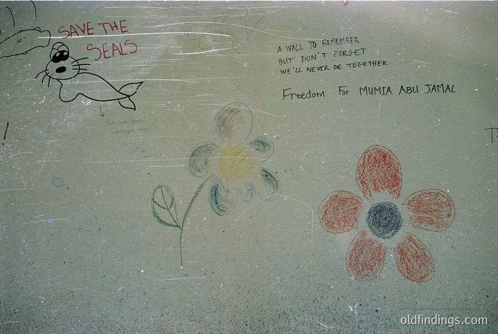 Graffiti on concrete wall: chalk-drawn messages and art. "Save the Seals" (cartoon seal), "A wall to remember we’ll never forget" with "Freedom for Mumia Abu Jamal" below. Two flowers (one green/yellow, one red/blue) and handprints. Likely 1990s–2000s, urban protest/activism context.