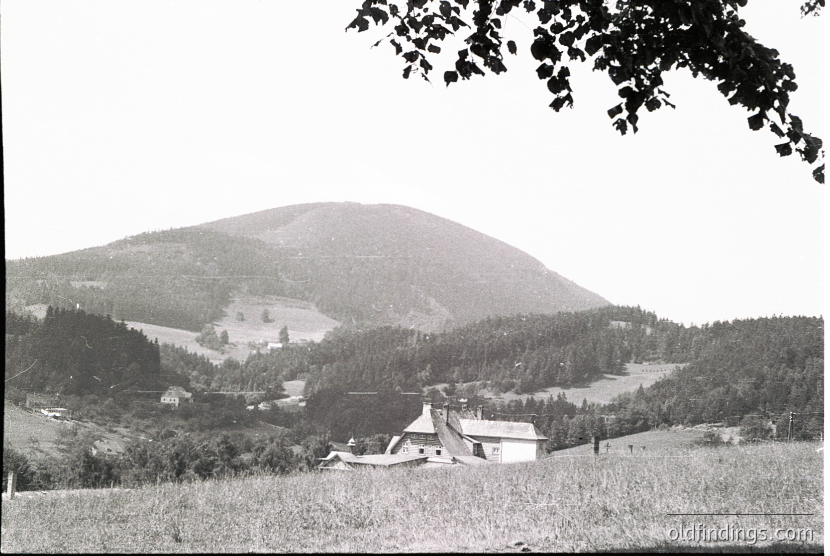 Black-and-white rural landscape featuring a cluster of modest farmhouses surrounded by open fields and dense forest. Rolling hills and a prominent mountain in the background suggest alpine geography. Likely early-to-mid 20th century based on architectural style and photographic grain.