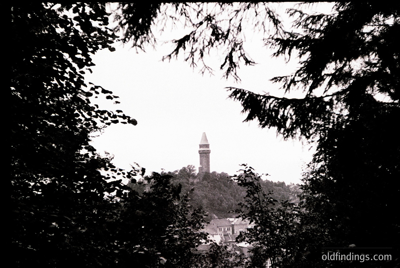 Black-and-white shot of a tower framed by dense foliage, likely a 19th-century lighthouse or observation tower. Symmetrical tree branches create a natural frame, emphasizing the structure’s height and solitary placement atop a hill. Architectural details include a conical roof and small windows.