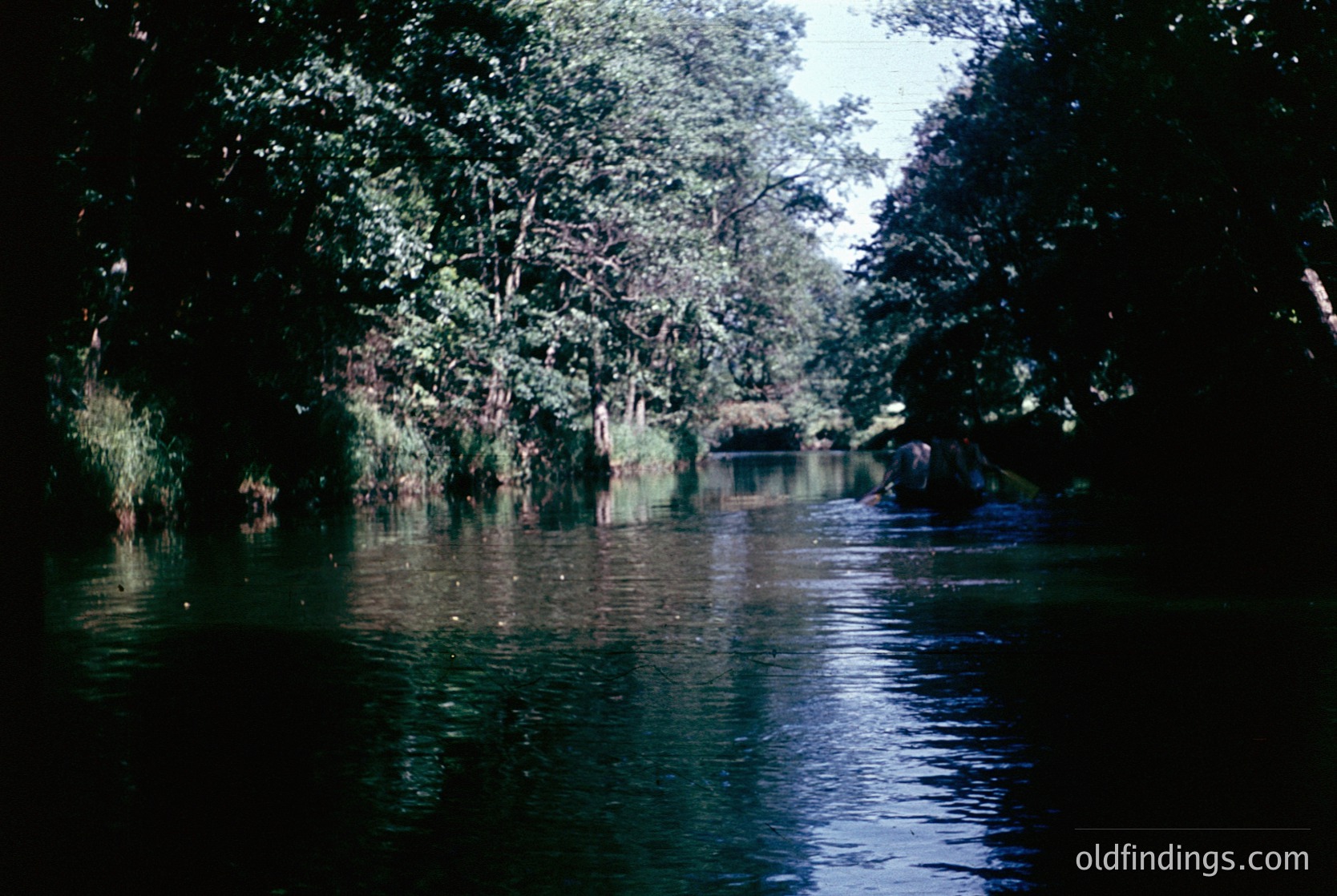 Flooded rural scene with submerged structures and dense foliage, likely post-storm or heavy rainfall. Partially submerged wooden hut and trees in murky water, suggesting agricultural or village setting. Vintage color tone indicates possible 1970s–1990s era.