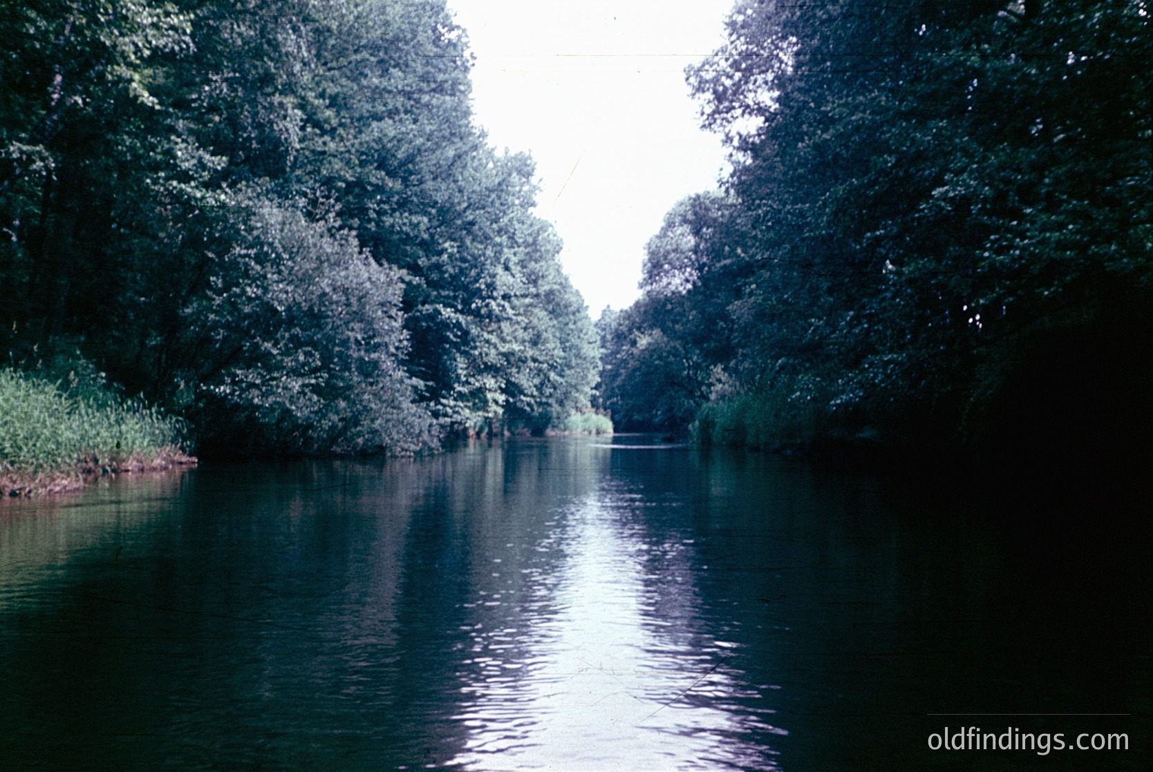 Serene river flanked by dense, reflective foliage—likely deciduous trees—creating a symmetrical mirror effect. Calm water suggests a sheltered, possibly rural or park setting. Vintage color tone hints at mid-20th-century photography ().