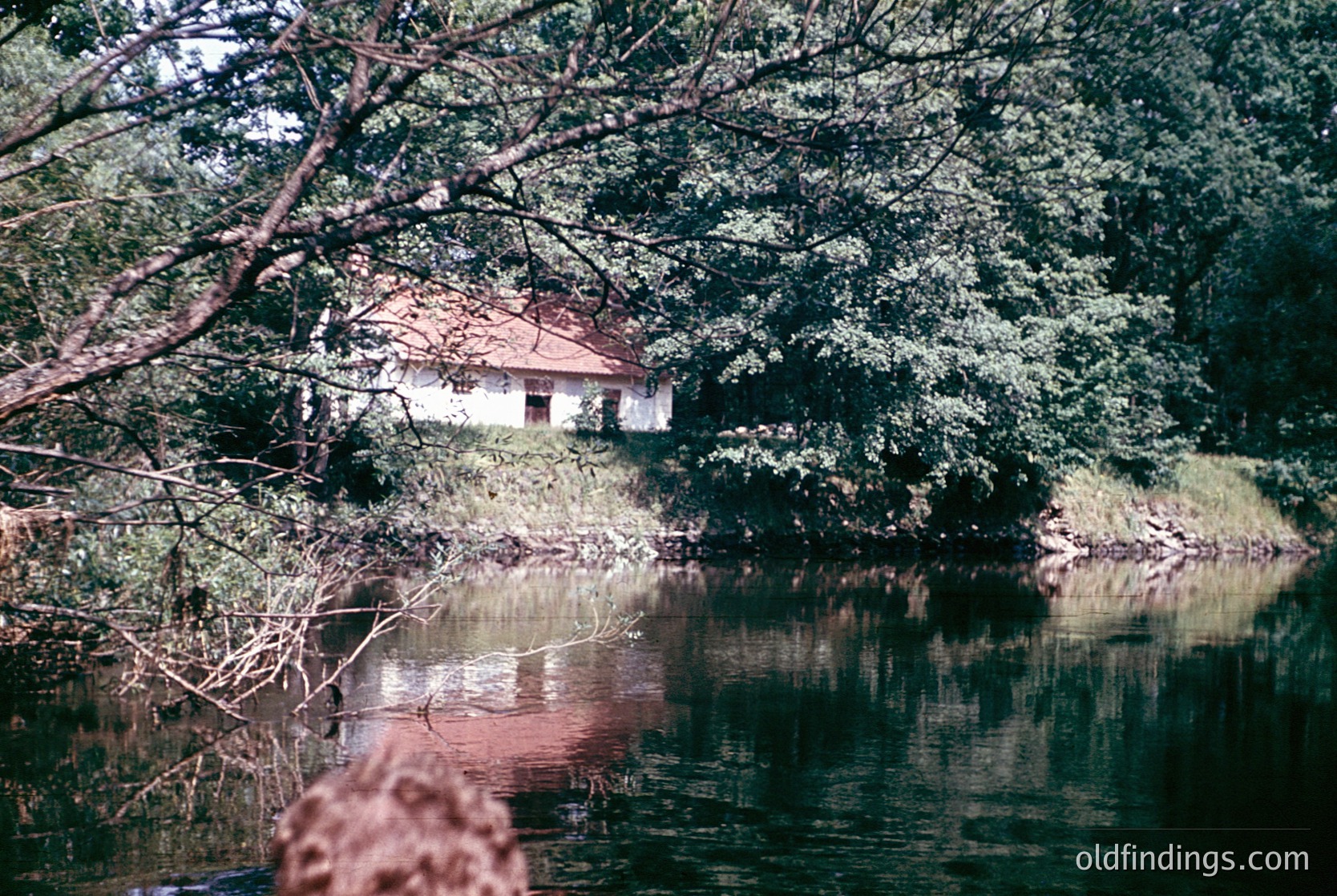 Rustic lakeside cabin nestled among dense foliage, partially obscured by overhanging branches. Reflections in calm water enhance serene, secluded atmosphere. Likely mid-20th century rural retreat.