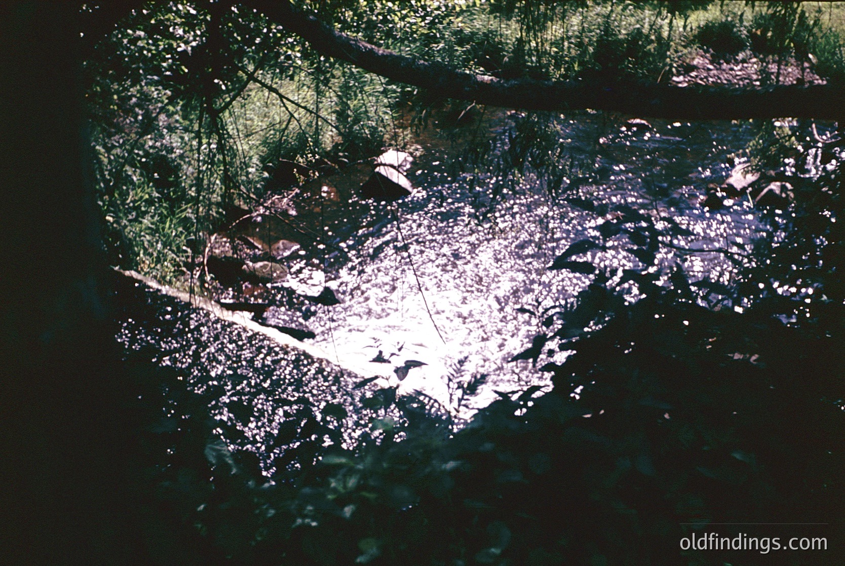 Vintage slide-style shot of shallow, sunlit riverbed with scattered rocks and fallen branches. Warm, diffused light creates prismatic reflections. Likely mid-20th century due to color saturation and framing.