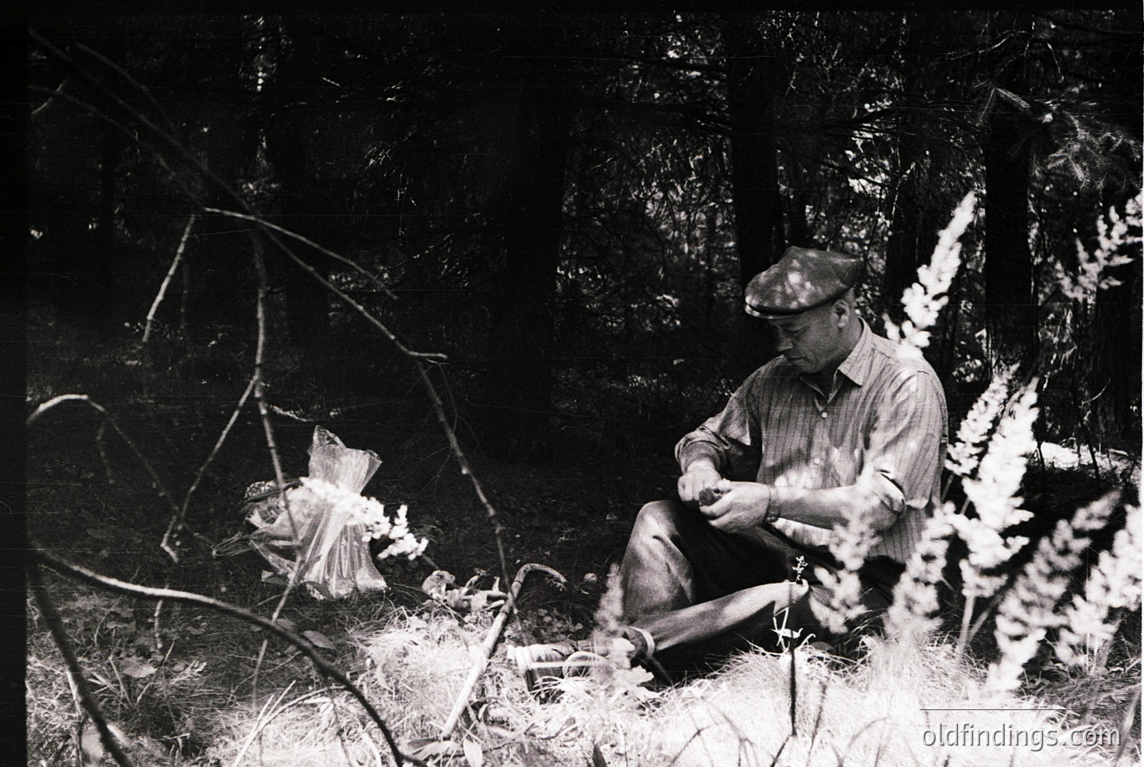 Black-and-white portrait of a man seated in dense foliage, holding a small object. His cap and rolled-sleeve attire suggest mid-20th-century rural life. Dense greenery frames him, hinting at a forest or garden setting.