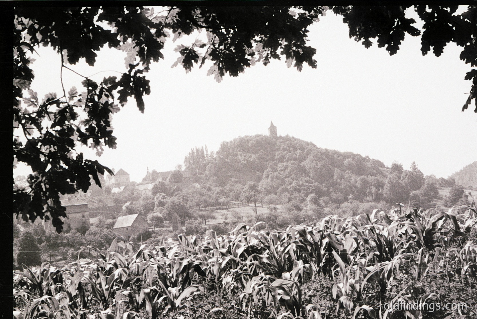 Black-and-white landscape featuring a misty hilltop with a prominent tower, framed by dense foliage. Rural village structures visible below. Likely early-to-mid 20th century European countryside.