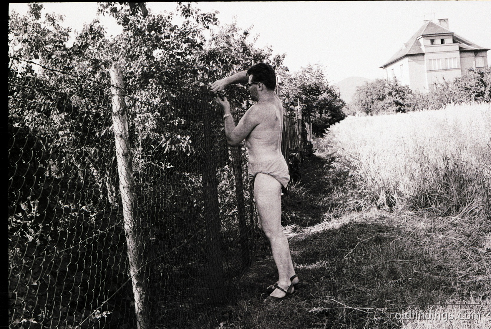 Black-and-white snapshot of a shirtless man in swim trunks adjusting sunglasses beside a dense hedge, mid-20th century. Rustic wooden fence and two-story house with gabled roof in background. Rural or suburban setting, likely 1950s–1960s.