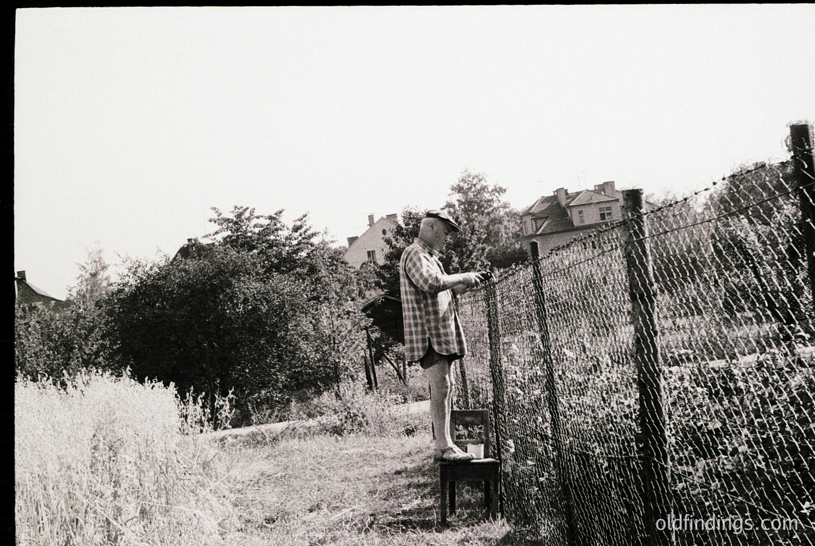 Child in plaid shirt leans over rusted chain-link fence, reaching toward a small, weathered wooden box on a stool. Overgrown grass and residential houses in background suggest a mid-20th-century urban or suburban setting. Likely a vintage capture from the –.