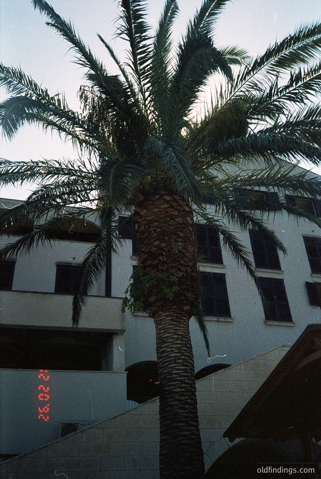 Mid-century Mediterranean-style building with tiled roof and whitewashed walls, framed by a towering palm tree. Red neon sign "23" visible, suggesting a hotel or apartment block. Likely coastal urban setting, possibly or architecture.