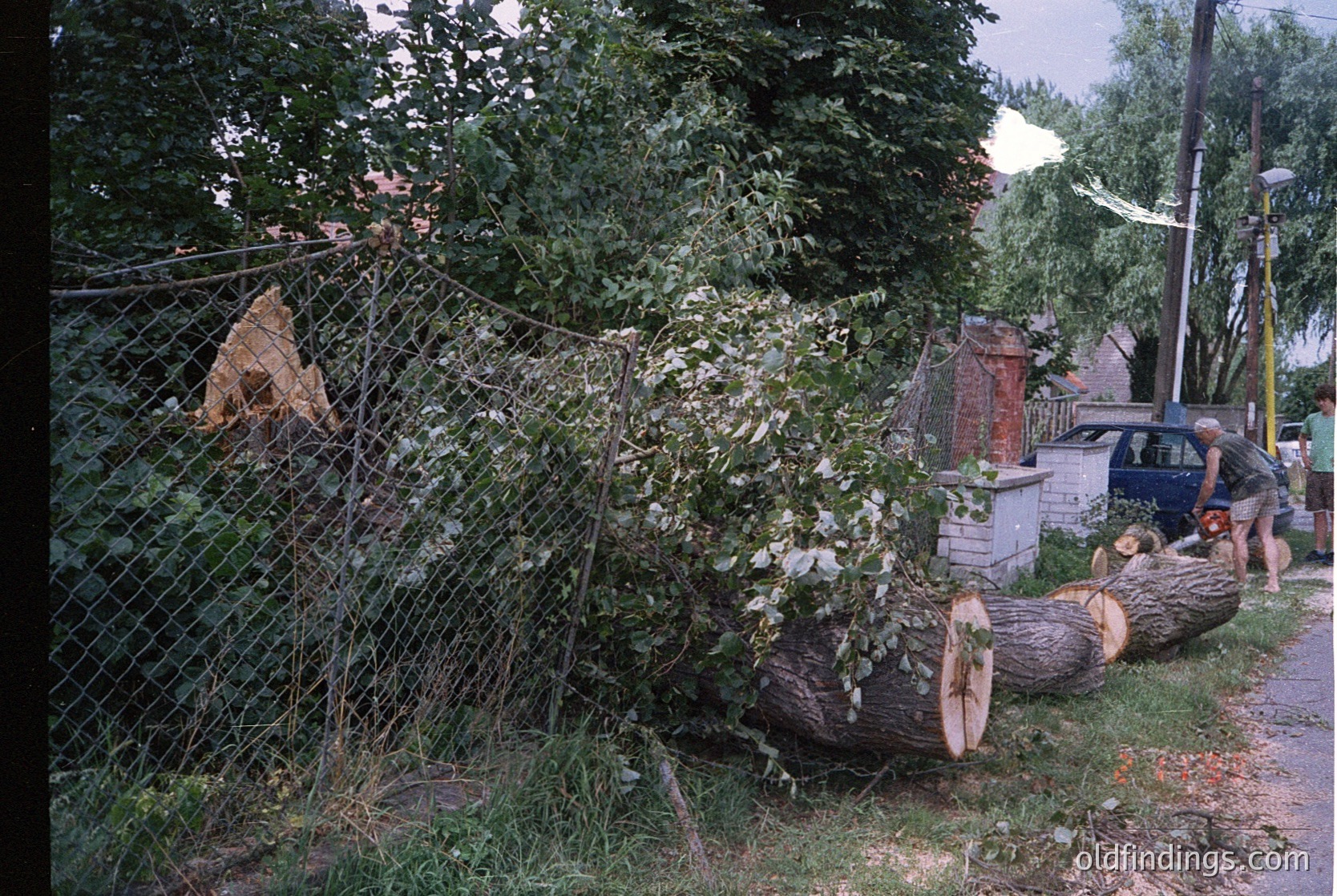 Storm-damaged tree uprooted near residential fence, tangled with power lines. Two individuals assess damage in a suburban yard. Concrete utility box and parked car visible. Likely post-storm cleanup scene.