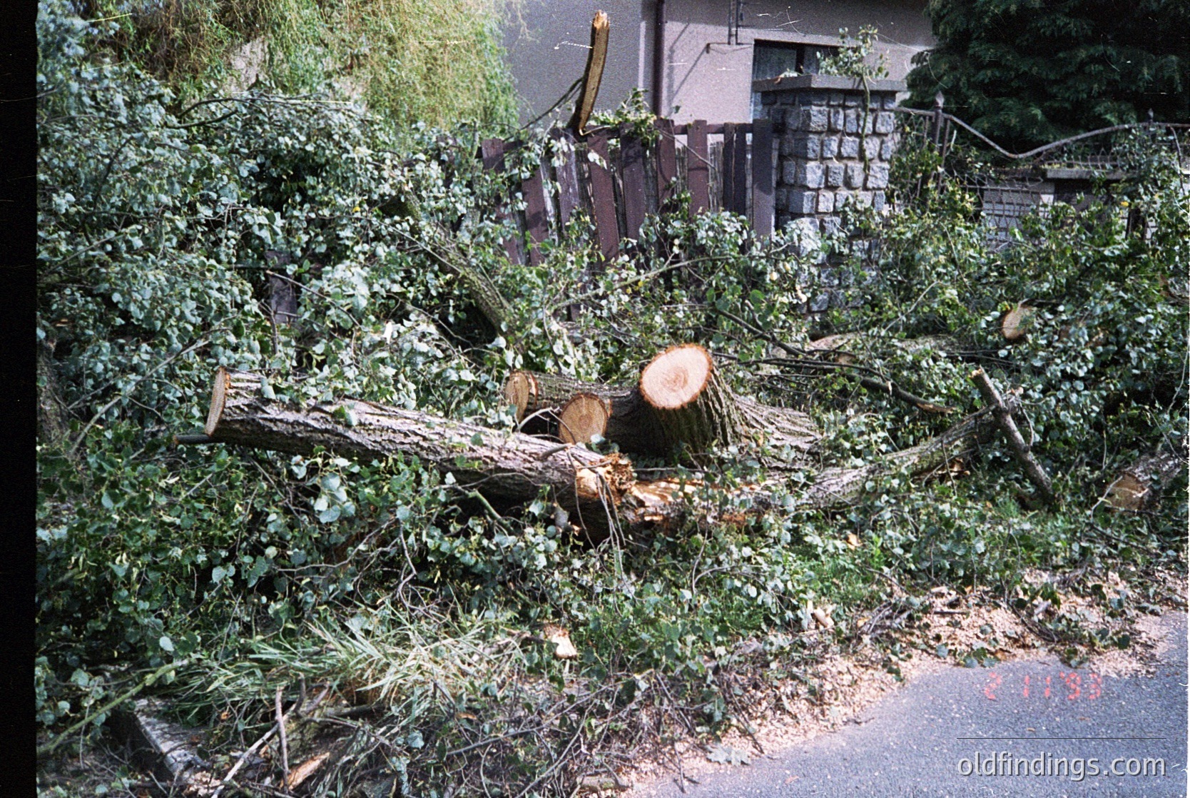 Storm-damaged tree trunk and branches sprawled across a residential street, partially blocking pavement. Stone fence and brick house visible in background. Likely post-storm scene, 1980s-1990s suburban setting.