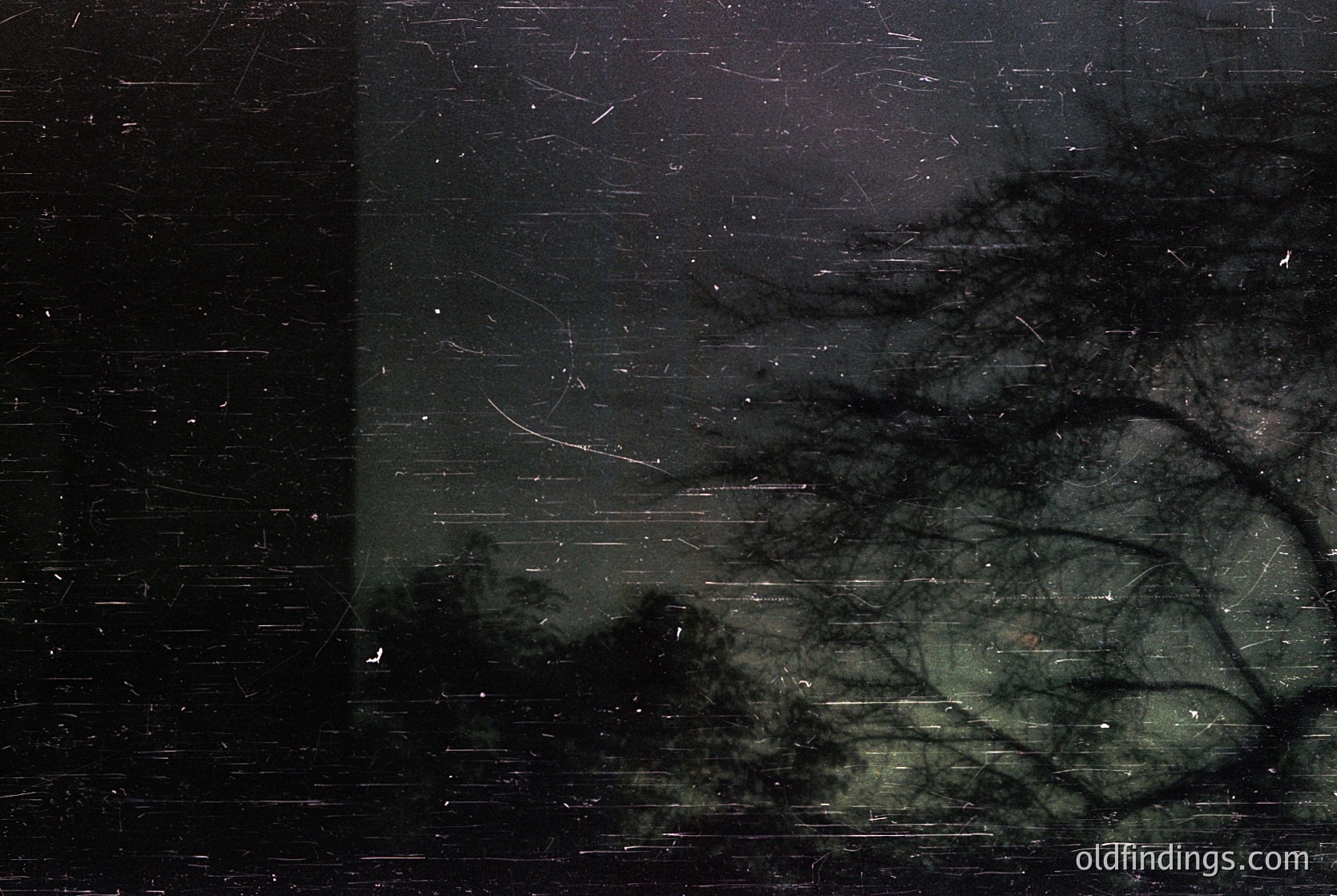 High-contrast monochrome shot of a bare tree silhouette against a textured brick wall during snowfall. The vertical lines of branches contrast with horizontal brickwork, evoking winter’s stark beauty. Potential use for moody editorial, atmospheric design, or historical documentary references.