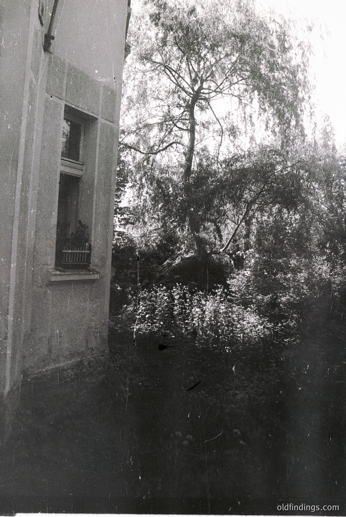 Vintage black-and-white shot of a narrow urban alleyway with a weathered concrete wall on left. A small, arched window with decorative ironwork reveals a glimpse of a room inside. Dense foliage and a lone tree dominate the right, partially obscuring a seated figure in a chair. Likely mid-20th century European cityscape.