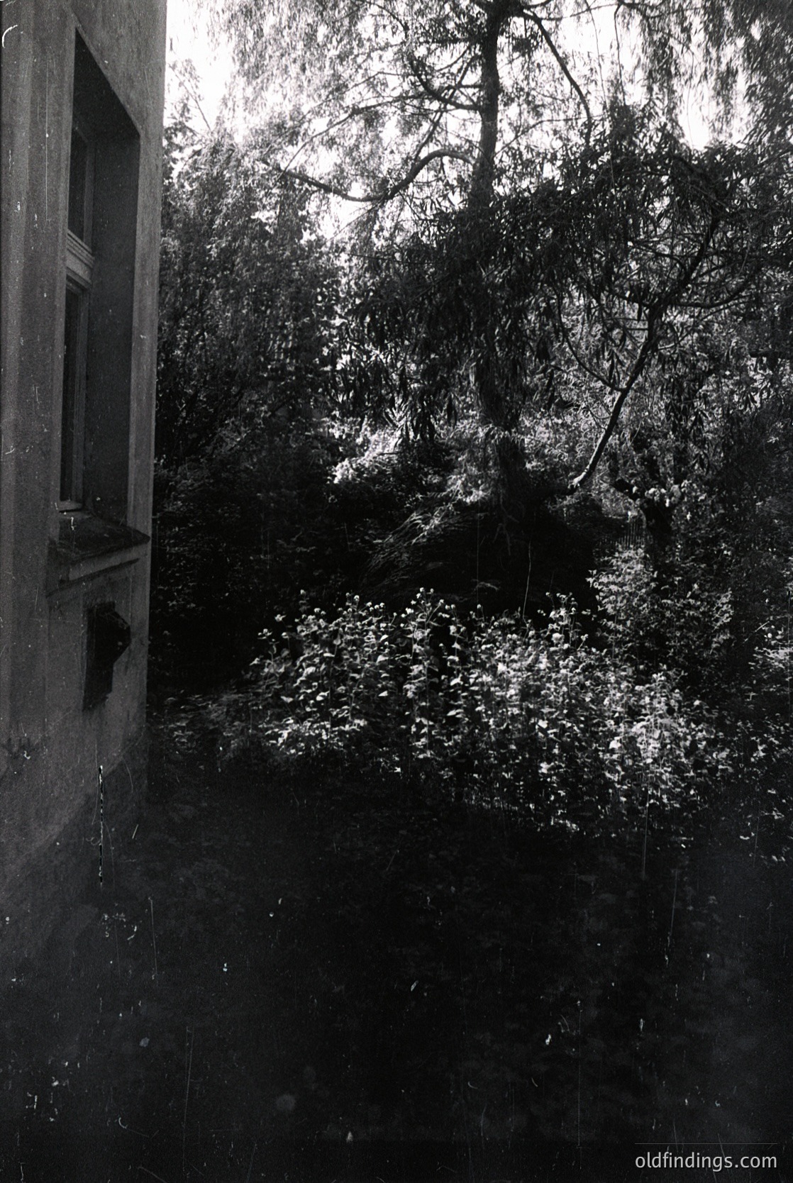 Black-and-white street scene framed by a window sill, showing rain-soaked pavement and bare trees. Architectural details include a wooden door frame with a small, rectangular window above. Likely urban setting, mid-20th century.