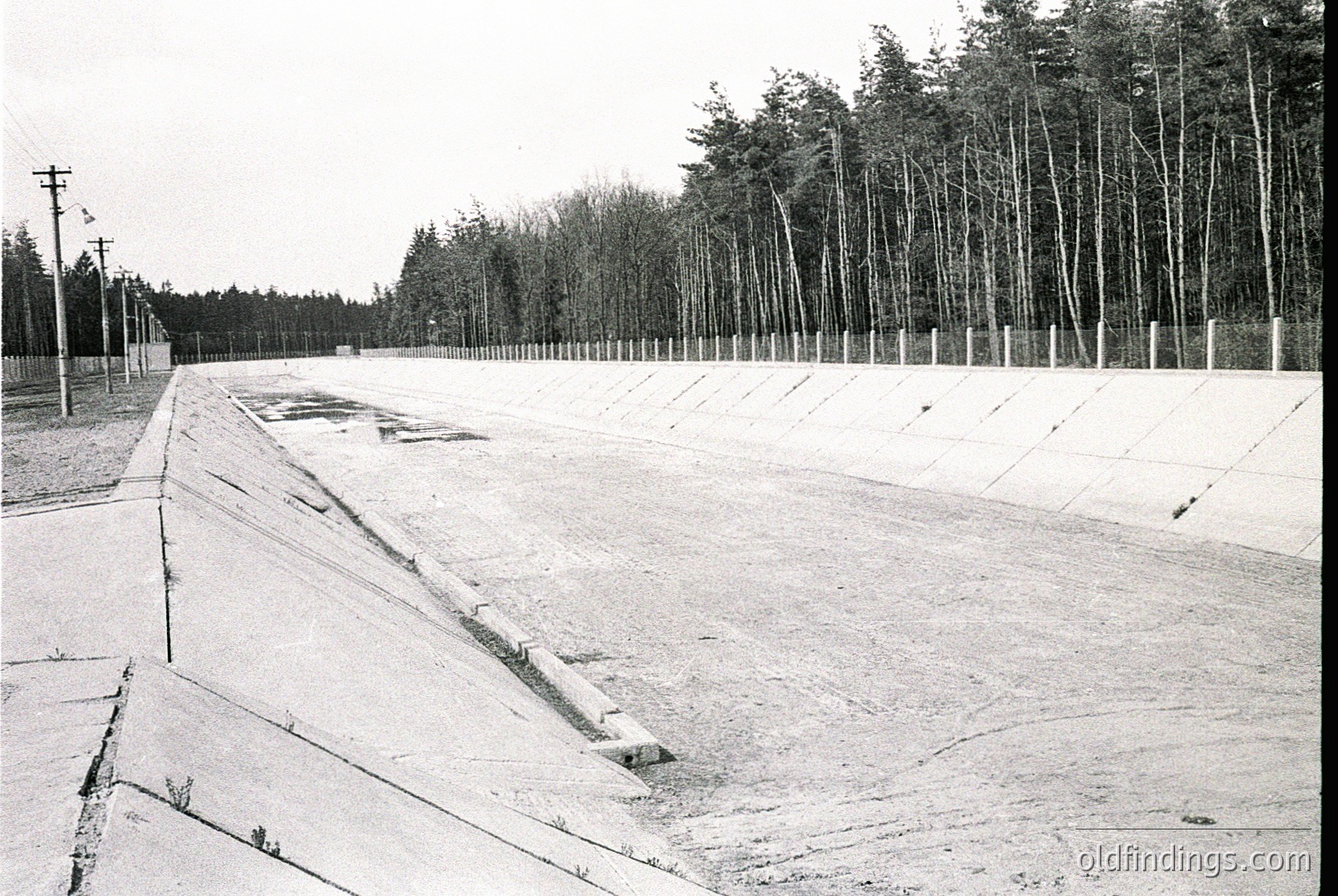 Concrete track with embedded drainage channels, flanked by young pine trees in orderly rows. Likely a sports stadium or race track, mid-20th century. Overcast sky enhances stark, utilitarian design.