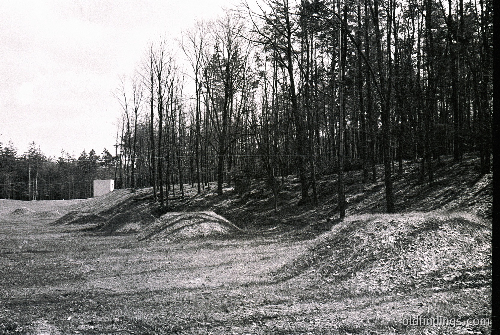 Concrete anti-tank obstacles lined with barbed wire, flanked by dense forest. Likely WWII-era defensive positioning.
