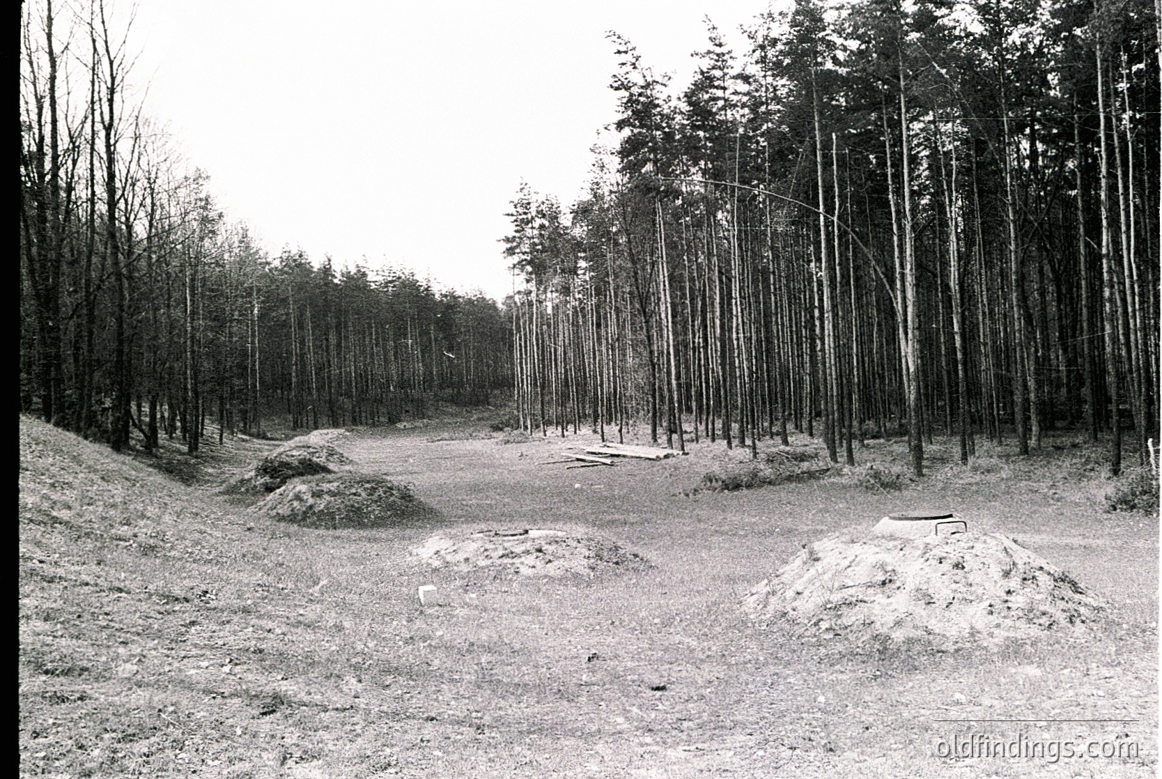Black-and-white forest clearing with tall, evenly spaced pine trees lining a dirt path. Disturbed earth mounds suggest recent excavation or construction activity. Likely a military or industrial site from mid-20th century.
