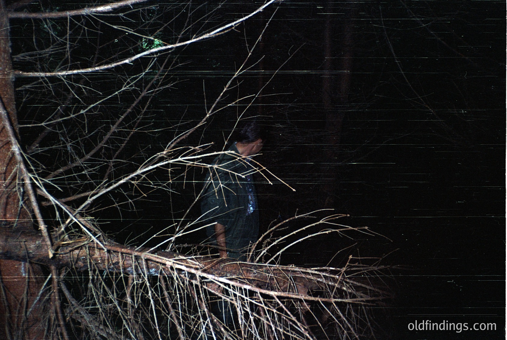 Silhouetted figure standing under bare tree branches against a dark, textured wall. Moody lighting emphasizes contrast between light and shadow. Potential 1970s–1980s grainy film aesthetic. Urban or industrial setting suggested by wall material.