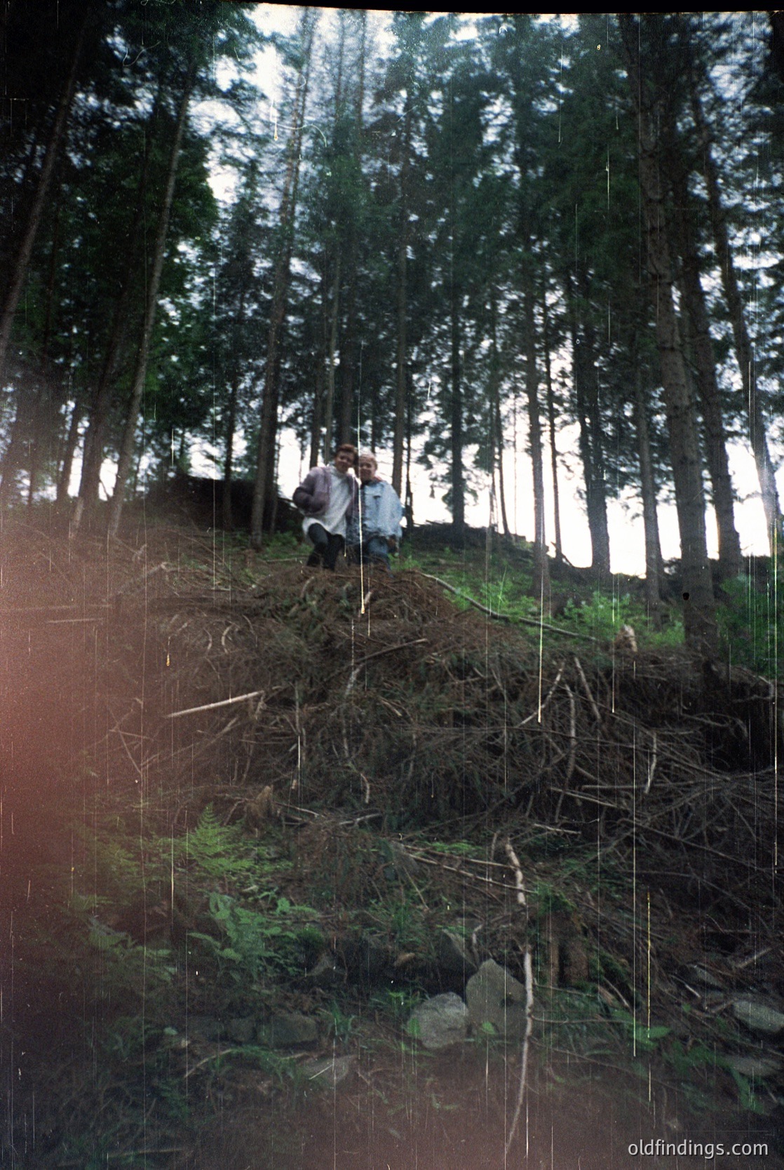 Vintage photo of two individuals hiking on a steep, forested slope with exposed tree roots. Dense pine forest frames the scene, suggesting a mountainous or alpine region. Mid-20th century clothing hints at outdoor recreation.