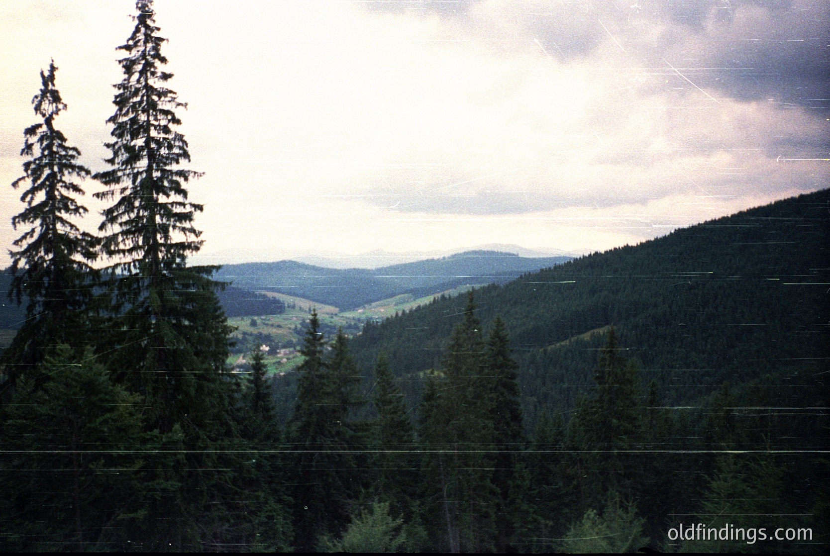 Vibrant alpine forest valley with dense coniferous trees framing foreground. Rolling hills and misty ridges extend into the distance under soft, overcast lighting. Likely European mountain range, possibly Central or Eastern Europe.