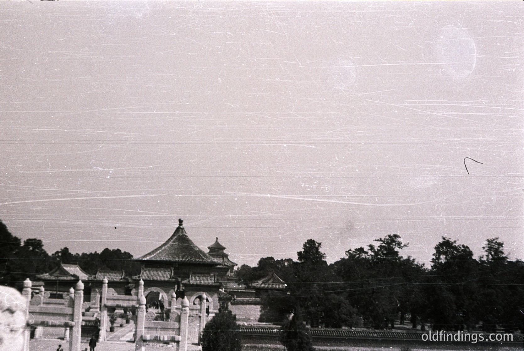 Vintage black-and-white photo of traditional Chinese courtyard architecture with upturned eaves and ornate roofs. Dense foliage frames the scene, suggesting a garden or palace setting. Likely early-to-mid 20th century.