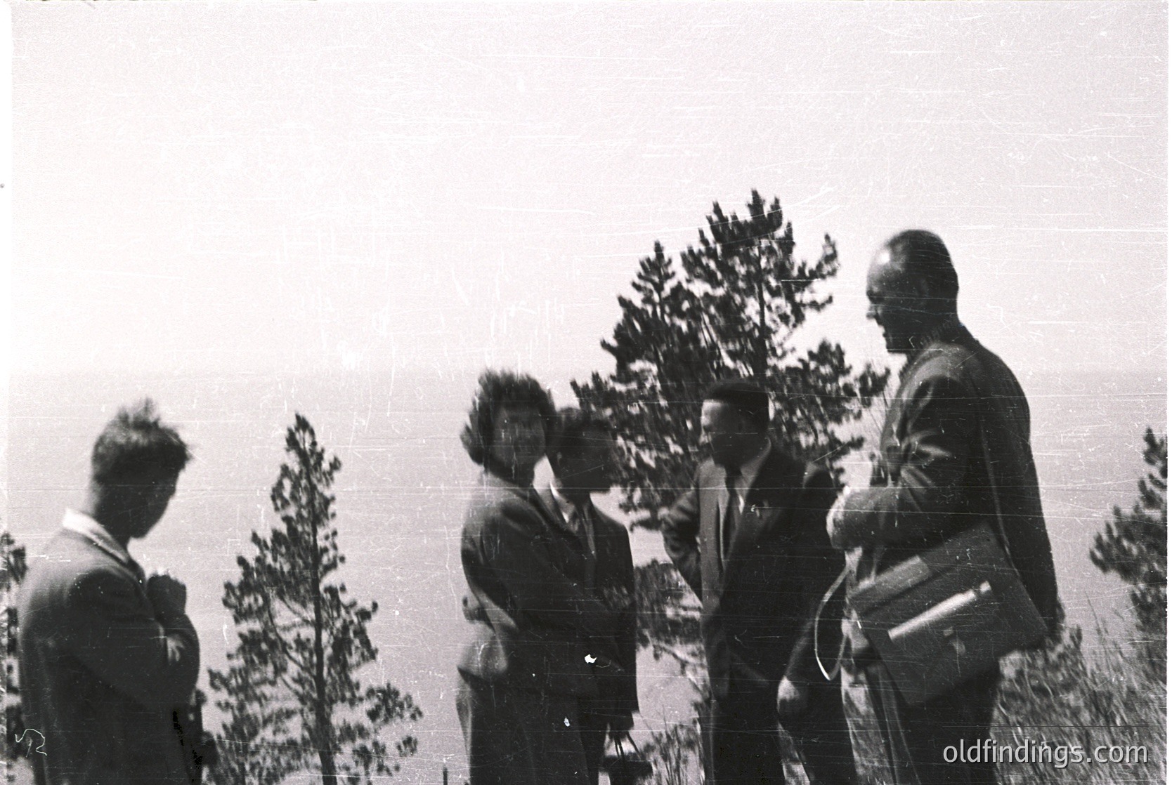Black-and-white group portrait of five individuals in outdoor setting, likely mid-20th century. Four men in suits and one woman in a dress pose near pine trees, overlooking a coastal or mountainous horizon. Formal attire suggests a professional or official gathering.