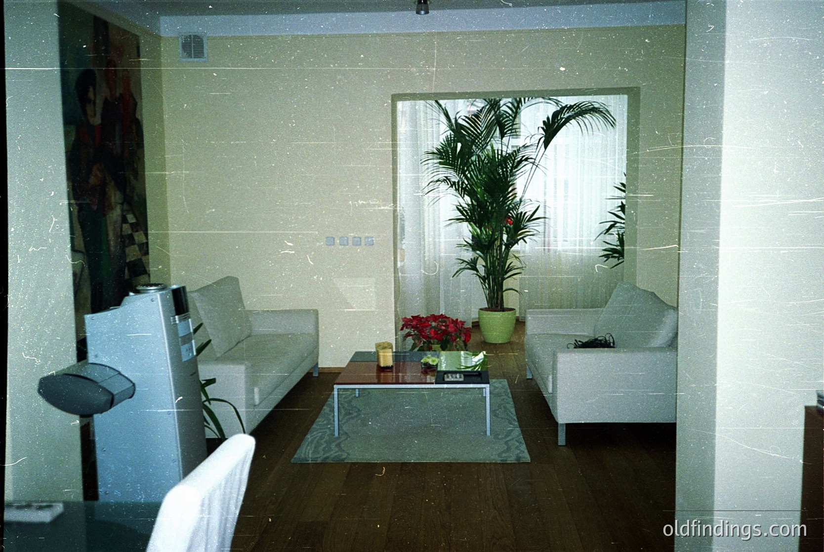 Minimalist interior featuring light-colored sofas, a glass coffee table, and a large potted palm near a window with sheer curtains. Red flowers on the table add subtle color. White tiled walls contrast with dark wood flooring. Artwork on left wall depicts a classical figure.