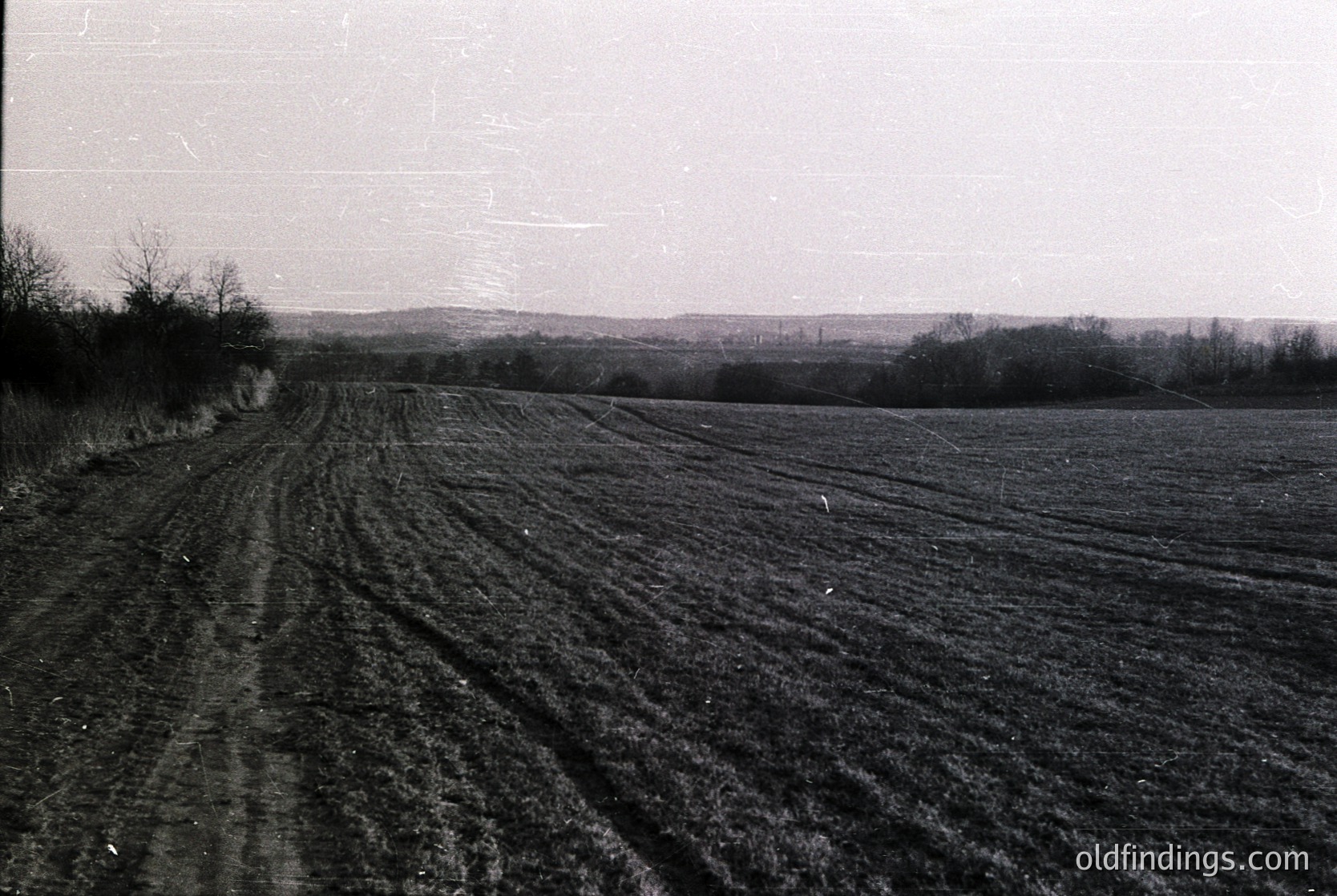 Plowed agricultural field with deep furrows, likely post-harvest. Bare trees and distant rolling hills in the background. Black-and-white vintage photograph, suggesting early-to-mid 20th century farming practices.