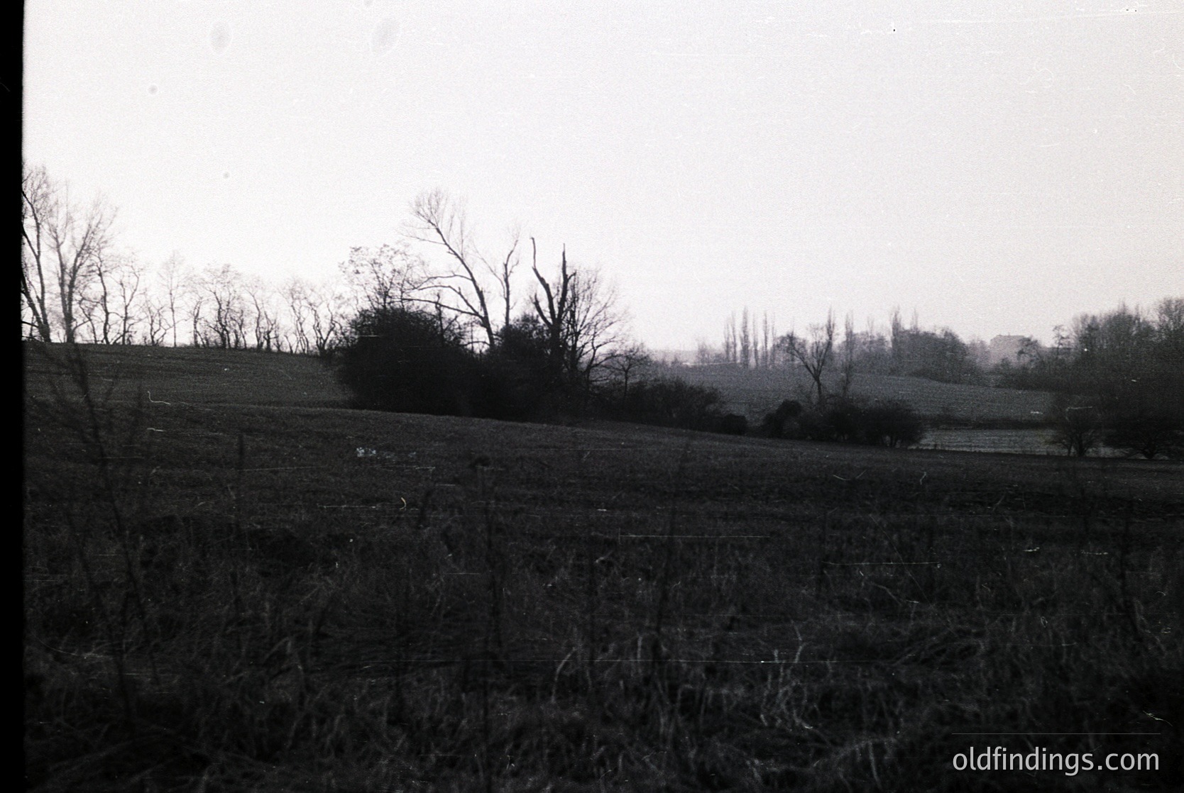 Vintage black-and-white landscape showing barren trees and open field under overcast skies. Likely rural countryside, mid-20th century.
