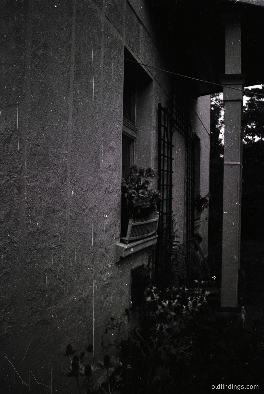Monochrome close-up of weathered stone facade with a small balcony adorned by potted plants and climbing vines. Architectural details include ornate wrought-iron railings and a recessed window frame. Evokes mid-20th century European residential design.