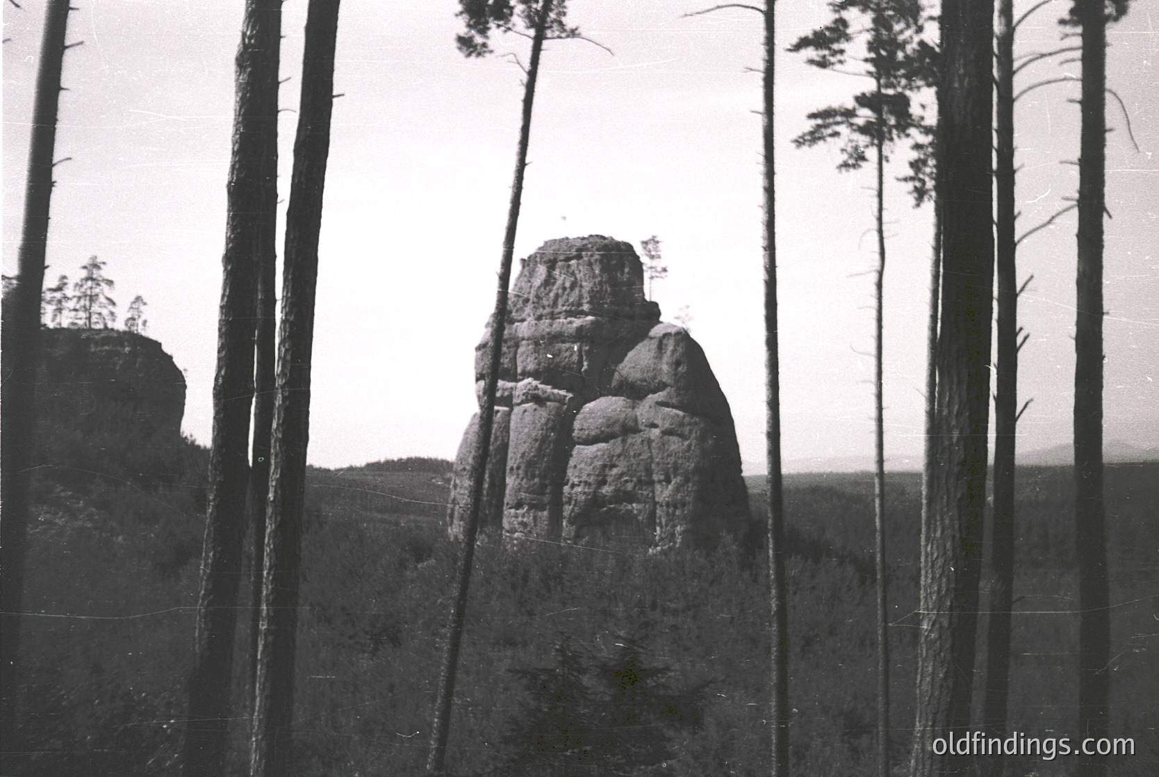 Isolated rock formation rising from dense forest, framed by tall pine trees. Dramatic monochrome composition suggests vintage photography, likely 20th century. Ideal for nature, landscape, or historical research references.