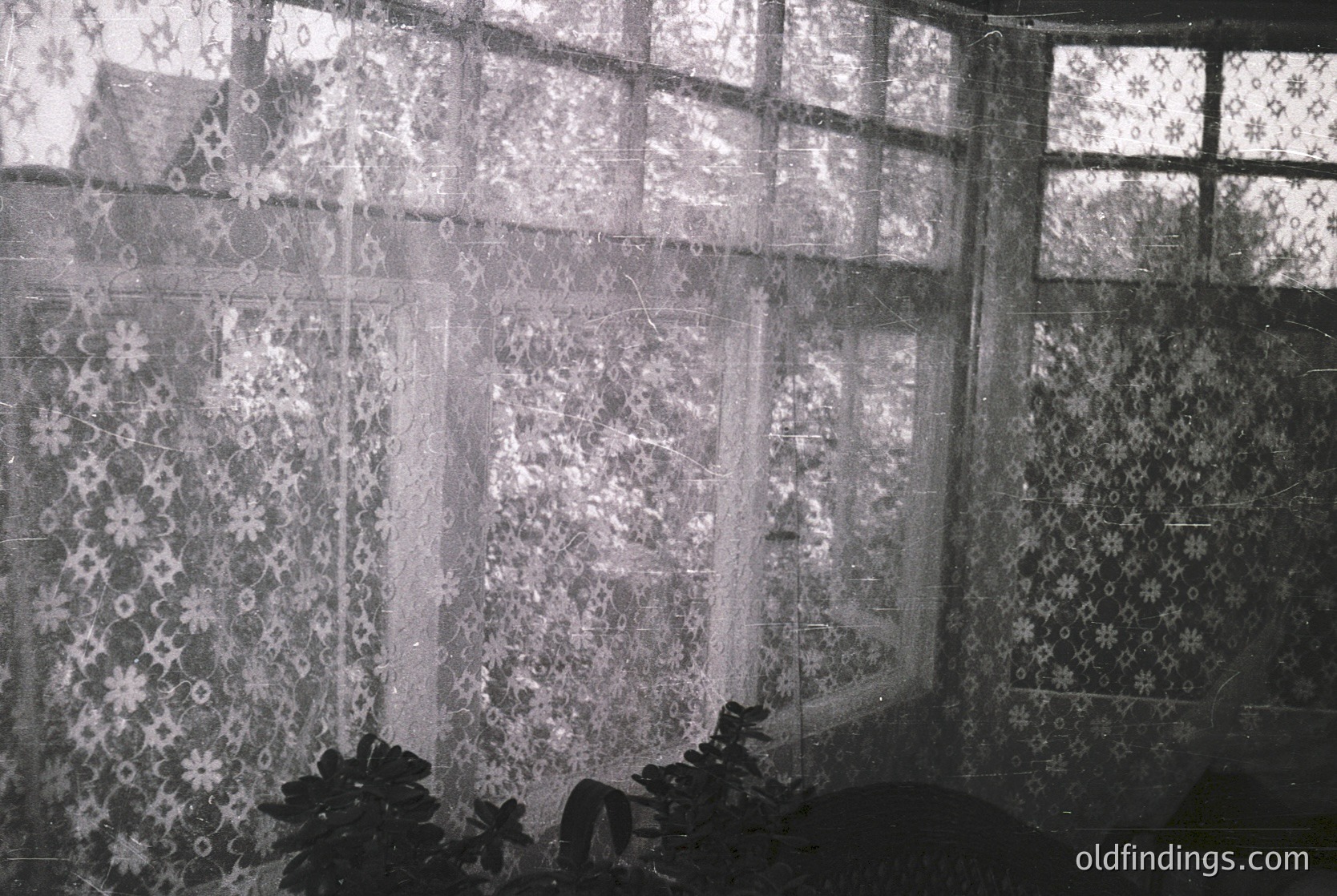 Vintage lace curtains framing large, divided windows in a dimly lit interior, likely a 1950s-1970s European home. Intricate floral patterns contrast with aged, cracked plaster walls. Functional yet decorative, these curtains suggest a blend of practicality and traditional craftsmanship.
