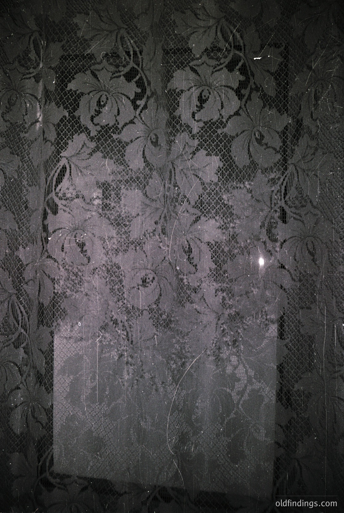 Vintage floral-patterned lace curtain with intricate damask motifs, likely from the 1950s–1970s. Semi-transparent fabric captures soft light, creating a diffused glow. Ideal for interior design references, vintage decor, or historical textile studies.