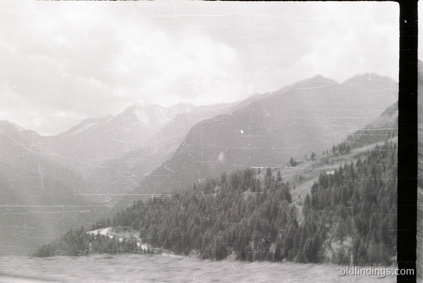 Vintage black-and-white alpine landscape featuring dense coniferous forest descending into a valley. Snow-capped peaks rise in the background under overcast skies, with visible tree line and rugged terrain. Likely mid-20th century due to grainy film texture.