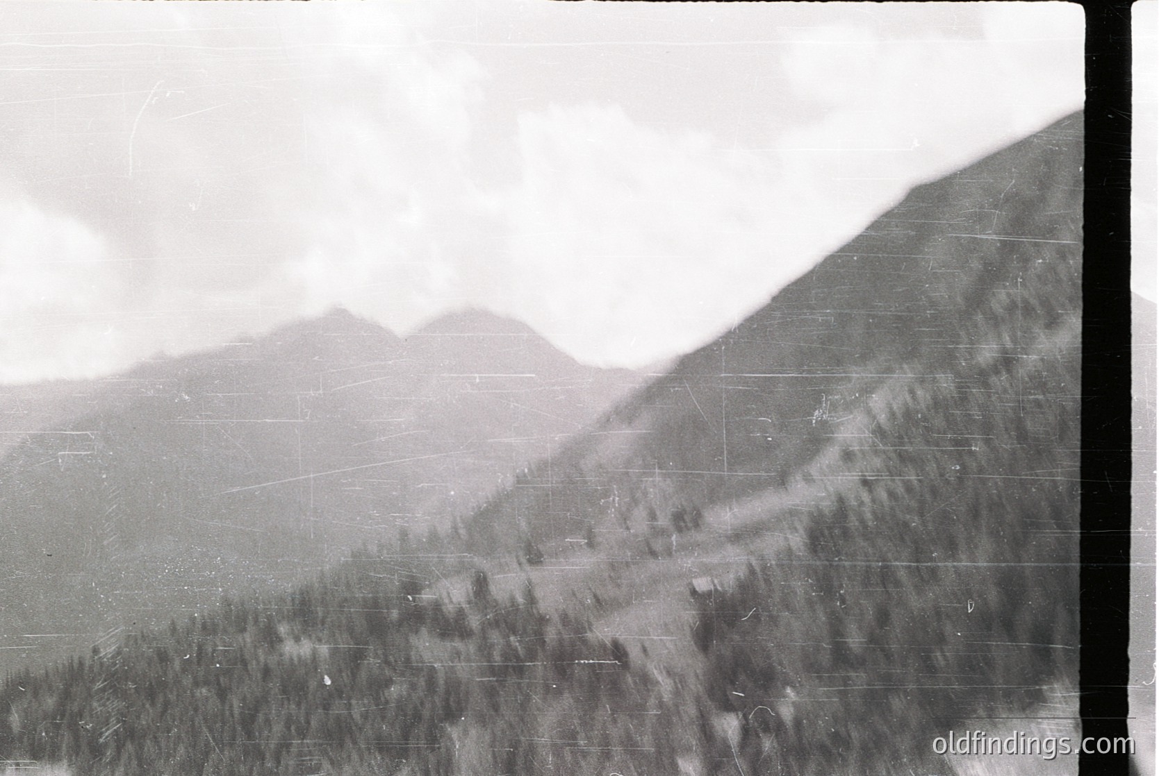 Vintage black-and-white aerial view of forested mountainous terrain, likely captured mid-20th century. Dense pine forests dominate lower slopes, transitioning to rocky ridges. Overcast skies enhance dramatic contrast. Ideal for historical geography or nature studies.
