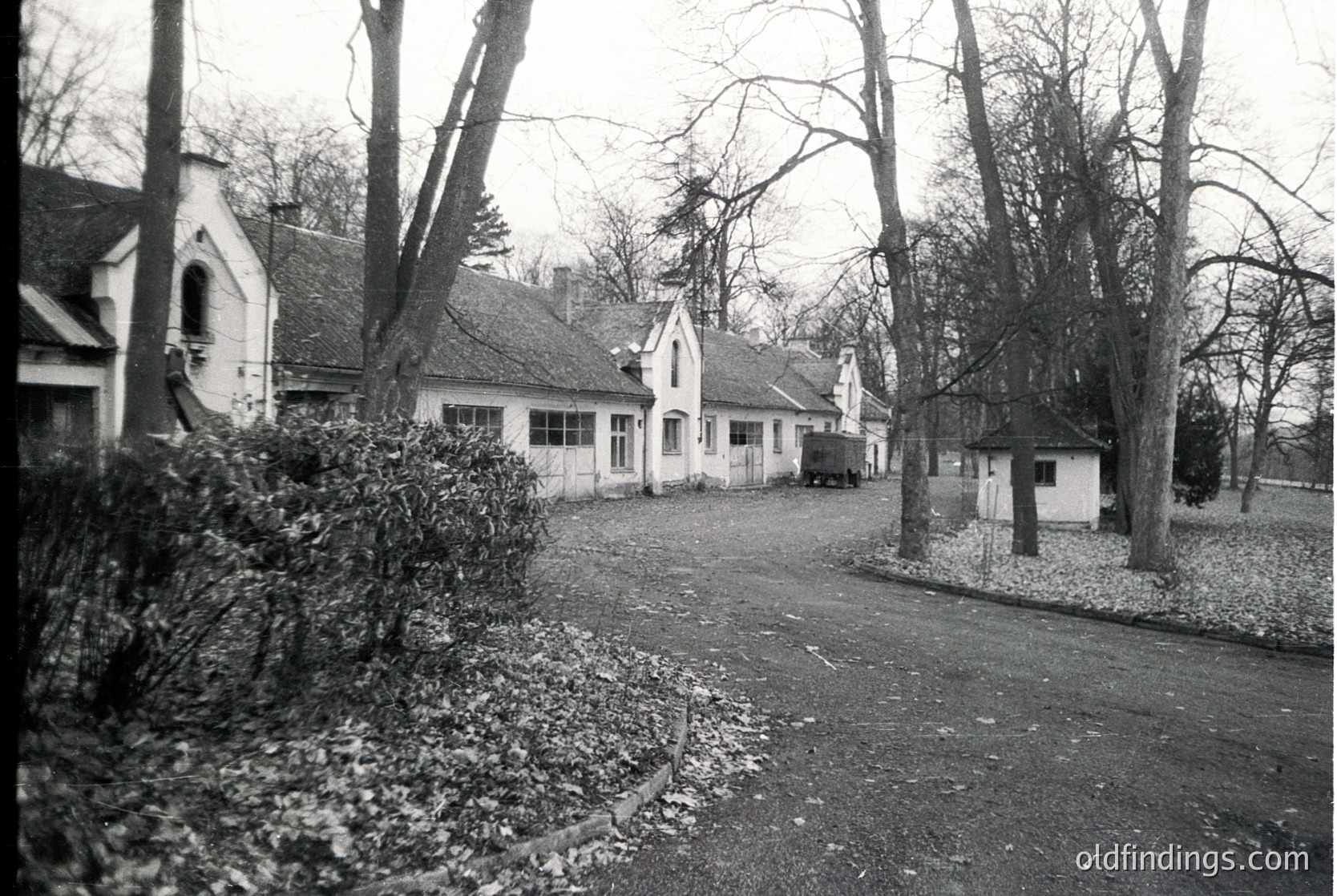 Mid-century suburban residential street with Tudor-style homes, featuring steep gables, brick chimneys, and symmetrical windows. Bare trees and overgrown shrubs suggest late autumn/winter. Likely 1950s–1960s USA.
