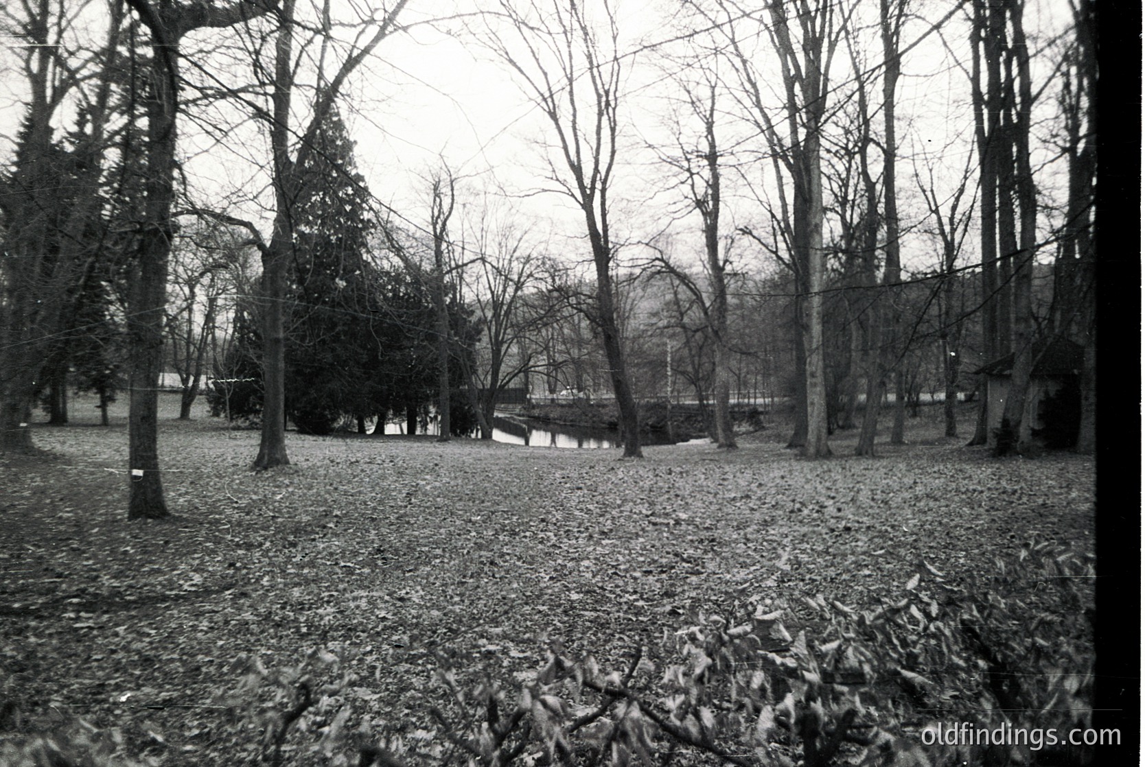 Barren winter park with fallen leaves covering grass, flanked by leafless trees and a distant stone bridge. Monochrome vintage aesthetic suggests mid-20th century.