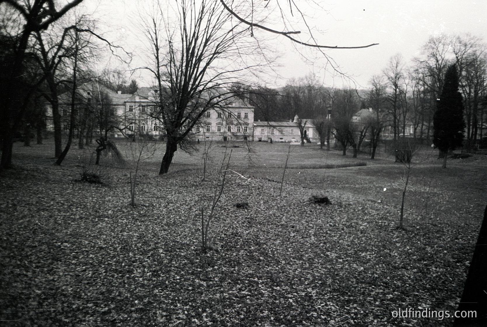 Black-and-white shot of a grand, multi-story building surrounded by a winter park. Symmetrical architecture with large windows and a central entrance. Leafless trees and bare grass dominate the foreground, suggesting late autumn/winter. Likely European park design, 20th-century era.
